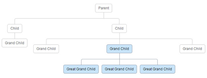 纯CSS打造的Family tree（族谱）